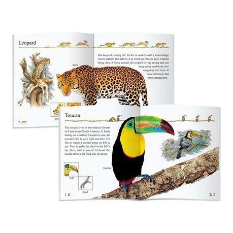 My First Encyclopedia for Children(10 Books)