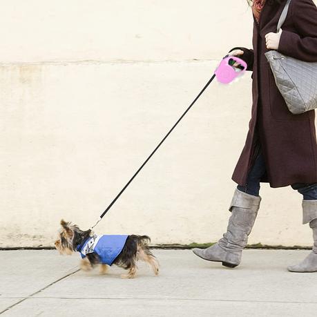 5M Retractable Dog Leash for Small/Medium Dog - Blue - Image 10