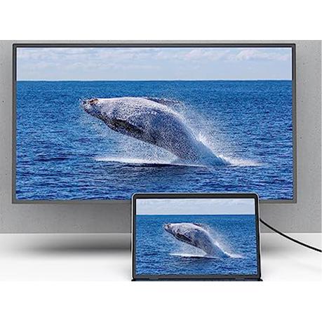 AICOM Male-to-Male Display Port to DVI Cable (2m) - Image 4