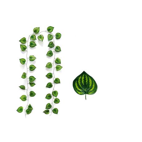 Bestby - 12 Strands Artificial Vines Green Leaves - Watermelon Peperomia