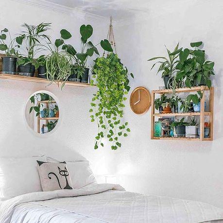 Bestby - 12 Strands Artificial Vines Green Leaves - Watermelon Peperomia - Image 4