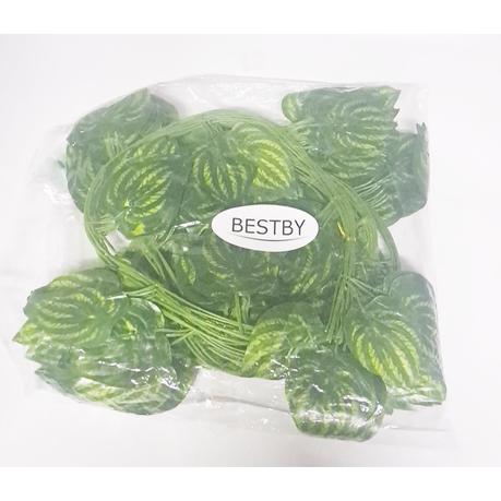 Bestby - 12 Strands Artificial Vines Green Leaves - Watermelon Peperomia - Image 6