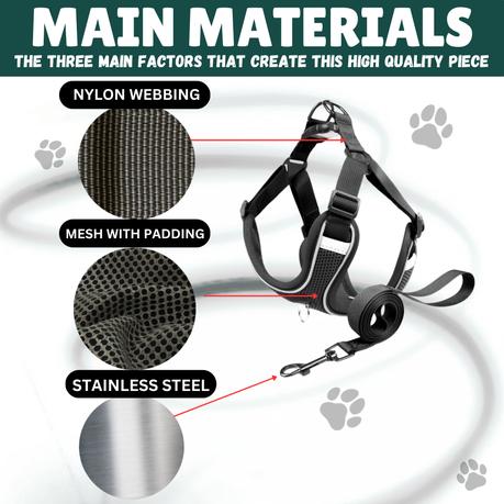 BESTBY - Adjustable Reflective Dog Harness with Leash for Small/Medium Dogs - M - Image 3