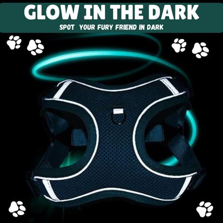 BESTBY - Adjustable Reflective Dog Harness with Leash for Small/Medium Dogs - M - Image 5