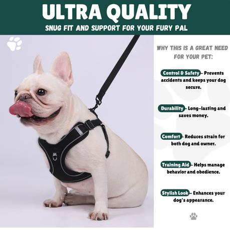 BESTBY - Adjustable Reflective Dog Harness with Leash for Small/Medium Dogs - L - Image 4