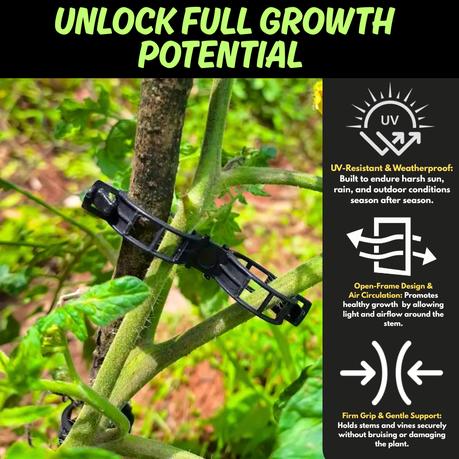 Bestby - Plant Support Clips for Stems & Vines - (500 Pieces) - Image 4