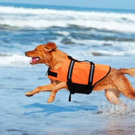 Bestby - Adjustable Buoyant & Reflective Swimming Vest For Medium Dog - Image 6